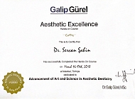 Estetik Mükemmellik Uygulamalı Kurs