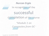 GC'den Kompozitler Üzerinde Modül 1